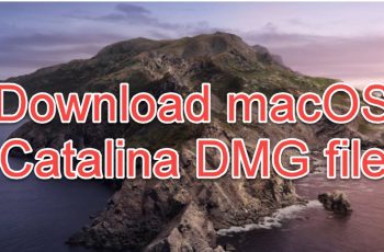 download macOS Catalina dmg file