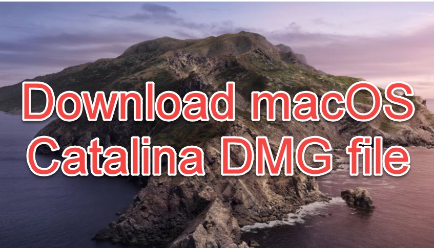 download catalina dmg on windows