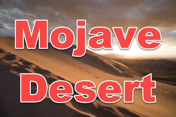 download macOS mojve iso file
