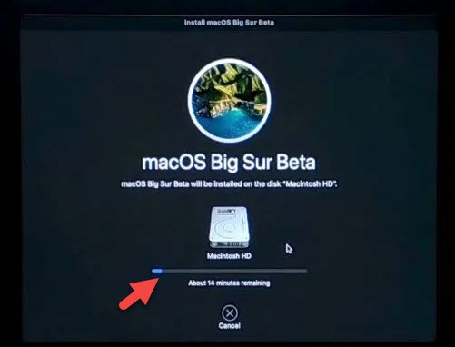 dual boot windows 10 and macOS big Sur