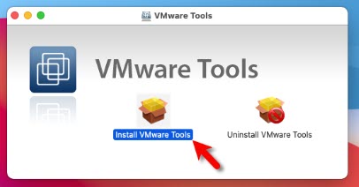 install vmware tools on macOS Big Sur